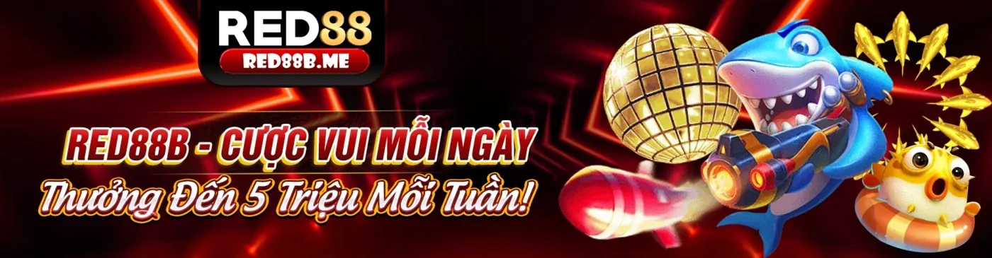 Hình ảnh minh họa chính sách quyền riêng tư của s8bet